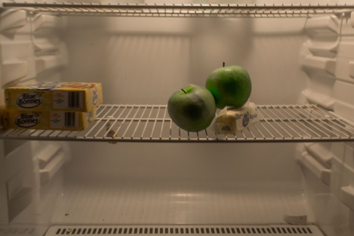 Still-Life-with-Blue-Bonnet-2