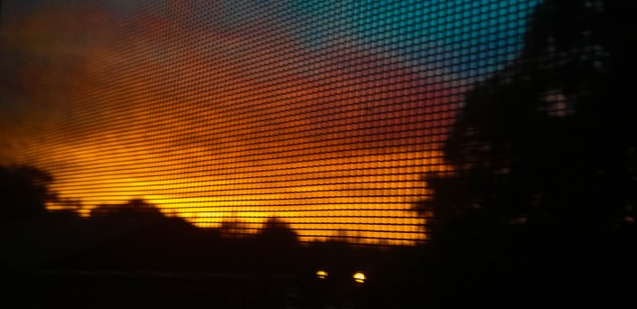 Sunrise Thru Mesh Wiring